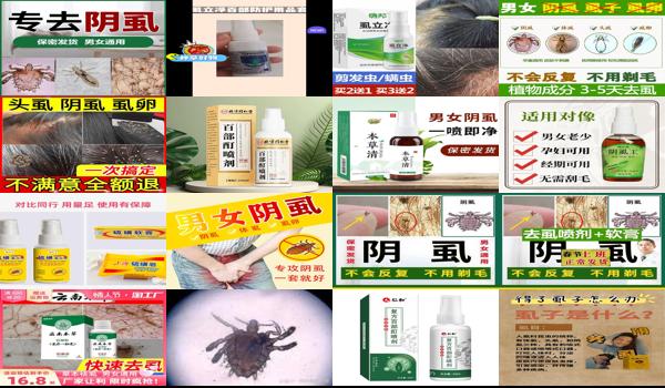 汕头哪里有灭白蚁 - 汕头灭阴虱*好的方法