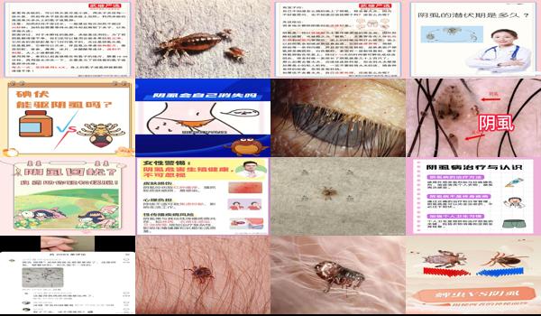 汕头有毒蛇吗 - 汕头阴虱虫子要怎么才能*消除呢
